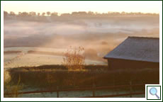 Morning Mist
